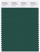 Pantone Smart 19-5420 TCX Color Swatch Card | Evergreen