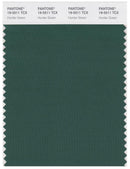 Pantone Smart 19-5511 TCX Color Swatch Card | Hunter Green