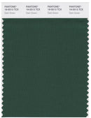 Pantone Smart 19-5513 TCX Color Swatch Card | Dark Green