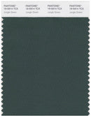 Pantone Smart 19-5914 TCX Color Swatch Card | Jungle Green