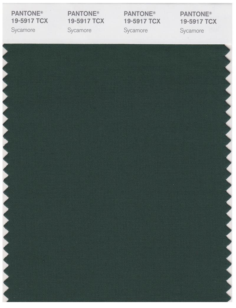 Pantone Smart 19-5917 TCX Color Swatch Card | Sycamore | Magazine