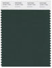 Pantone Smart 19-5917 TCX Color Swatch Card | Sycamore