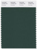 Pantone Smart 19-5920 TCX Color Swatch Card | Pineneedle