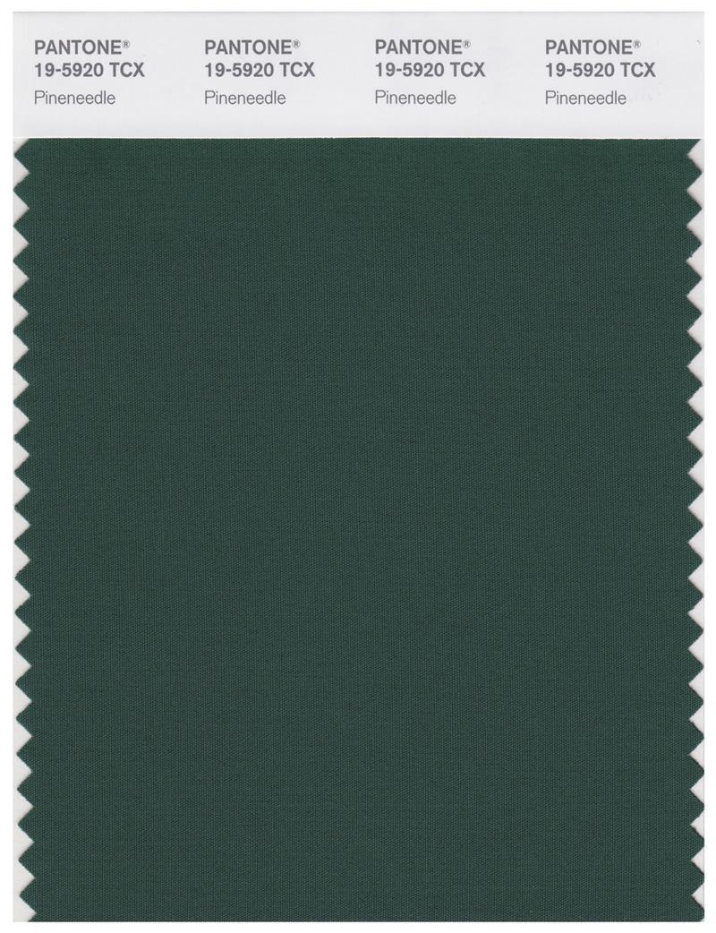 Pantone Smart 19-5920 TCX Color Swatch Card | Pineneedle | Magazine ...