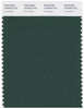 Pantone Smart 19-5920 TCX Color Swatch Card | Pineneedle