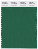Pantone Smart 19-6026 TCX Color Swatch Card | Verdant Green