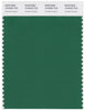 Pantone Smart 19-6026 TCX Color Swatch Card | Verdant Green
