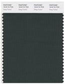 Pantone Smart 19-6110 TCX Color Swatch Card | Deep Forest