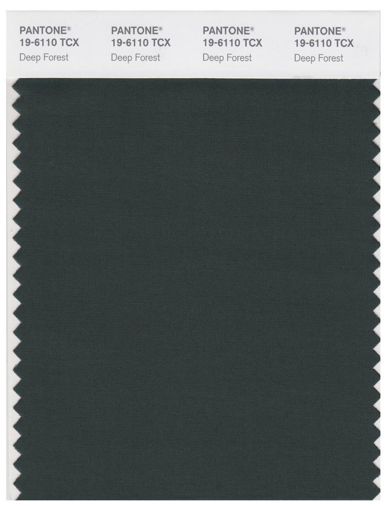Pantone Smart 19-6110 TCX Color Swatch Card | Deep Forest