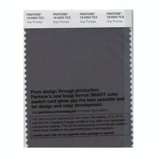 Pantone Smart 19-0203 TCX Color Swatch Card | Gray Pinstripe