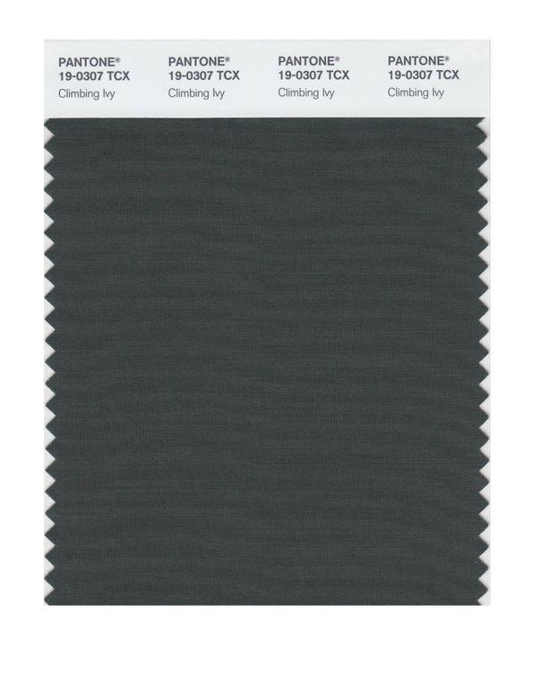 Pantone Smart 19-0307 TCX Color Swatch Card | Climbing Ivy