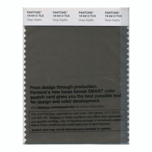 Pantone Smart 19-0413 TCX Color Swatch Card | Deep Depths