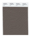 Pantone Smart 19-0808 TCX Color Swatch Card | Morel