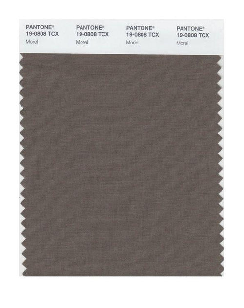 Pantone Smart 19-0808 TCX Color Swatch Card | Morel | Magazine