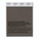 Pantone Smart 19-0823 TCX Color Swatch Card | Crocodile
