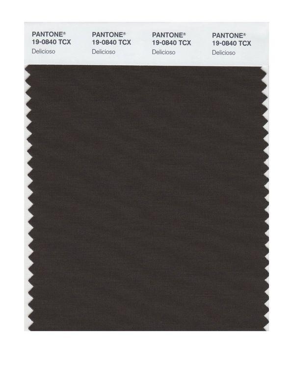 Pantone Smart 19-0840 TCX Color Swatch Card | Delicioso