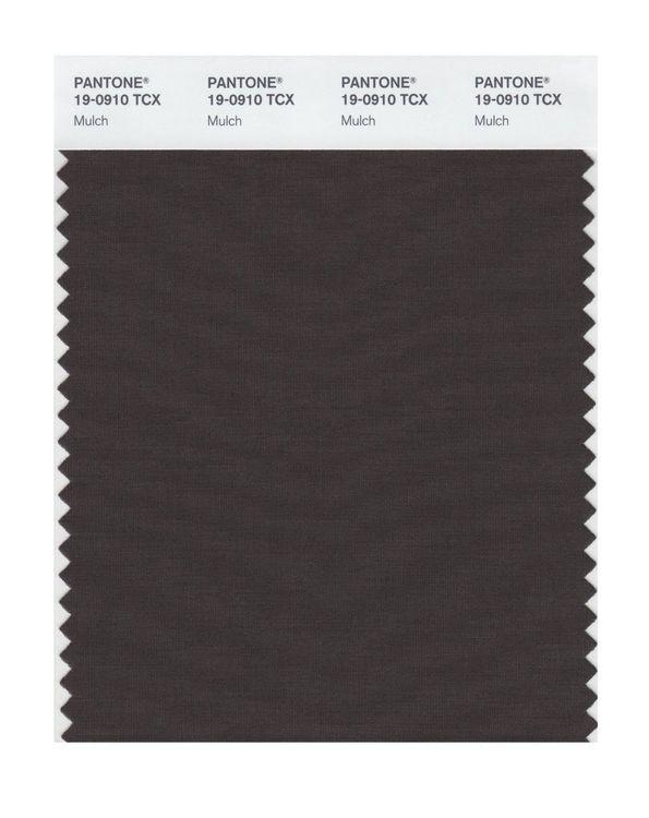 Pantone Smart 19-0910 TCX Color Swatch Card | Mulch | Magazine