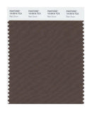 Pantone Smart 19-0916 TCX Color Swatch Card | Rain Drum