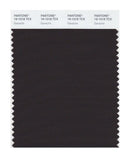 Pantone Smart 19-1018 TCX Color Swatch Card | Ganache