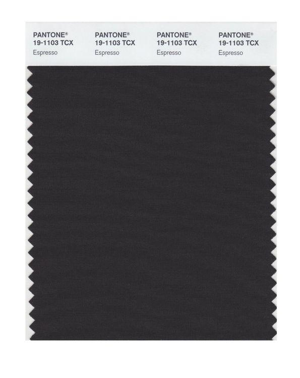 Pantone Smart 19-1103 TCX Color Swatch Card | Espresso | Magazine