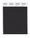 Pantone Smart 19-1103 TCX Color Swatch Card | Espresso