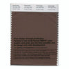Pantone Smart 19-1224 TCX Color Swatch Card | Fondue Fudge
