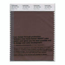 Pantone Smart 19-1234 TCX Color Swatch Card | Rocky Road
