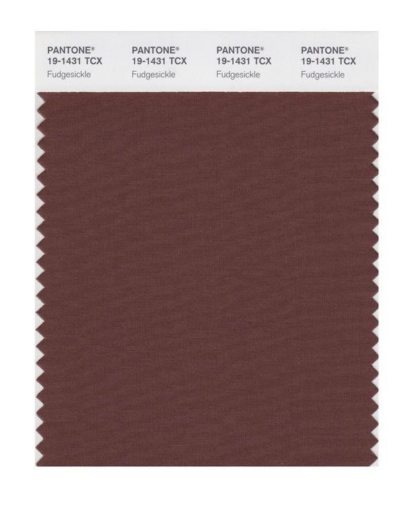 めーぷる Pantone Smart 19-1431 TCX Color Swatch Card | Fudgesickle