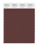 Pantone Smart 19-1431 TCX Color Swatch Card | Fudgesickle