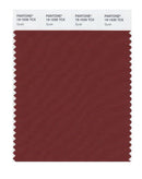Pantone Smart 19-1535 TCX Color Swatch Card | Syrah
