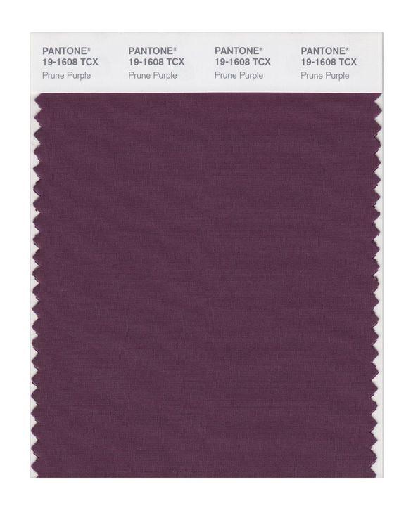 Pantone Smart 19-1608 TCX Color Swatch Card | Prune Purple