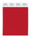 Pantone Smart 19-1757 TCX Color Swatch Card | Barbados Cherry