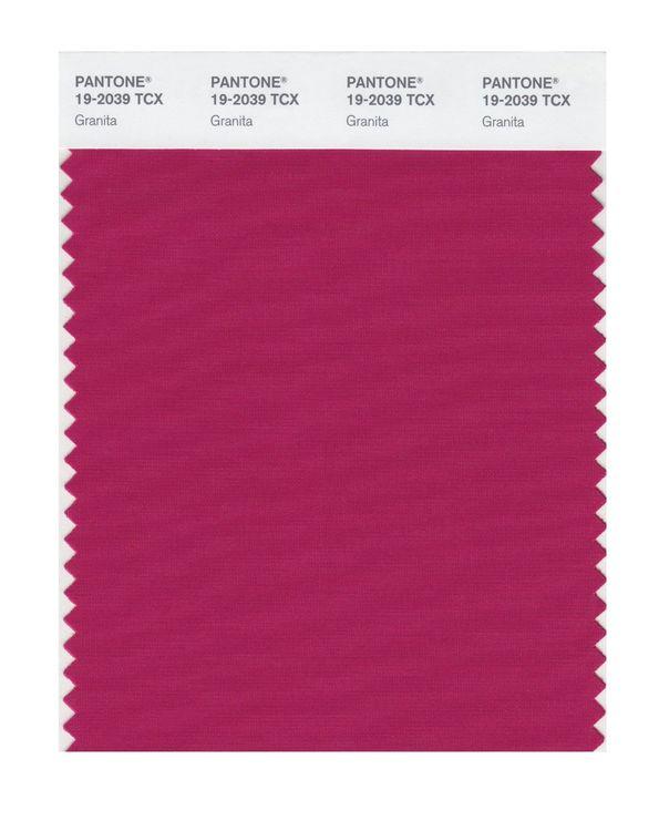 Pantone Smart 19-2039 TCX Color Swatch Card | Granita | Magazine