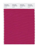Pantone Smart 19-2039 TCX Color Swatch Card | Granita