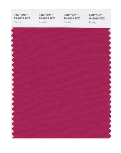Pantone Smart 19-2039 TCX Color Swatch Card | Granita | Magazine
