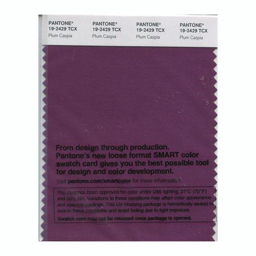 Pantone Smart 19-2429 TCX Color Swatch Card | Plum Caspia