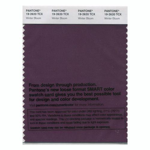 Pantone Smart 19-2620 TCX Color Swatch Card | Winter Bloom