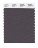 Pantone Smart 19-3900 TCX Color Swatch Card | Pavement