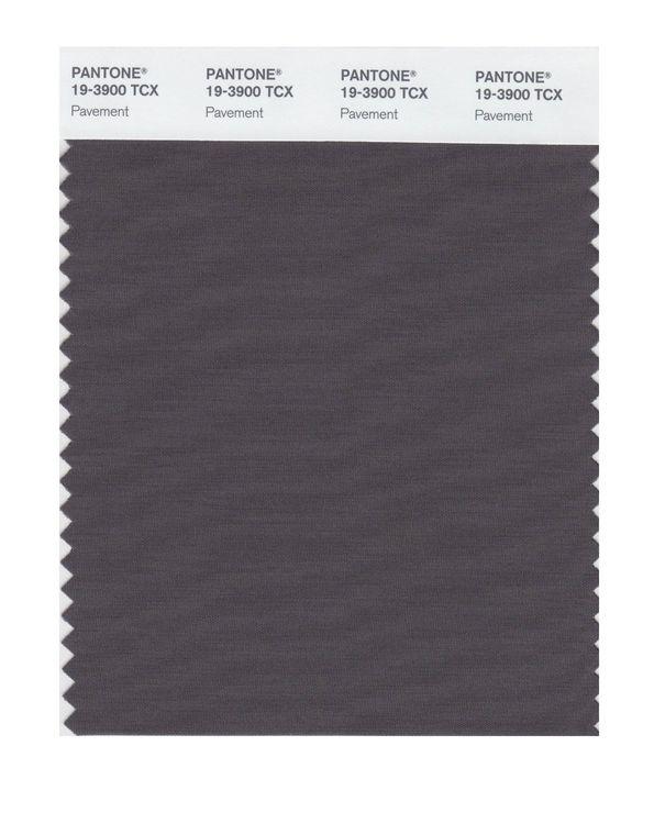 Pantone Smart 19-3900 TCX Color Swatch Card | Pavement
