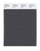 Pantone Smart 19-3901 TCX Color Swatch Card | Magnet