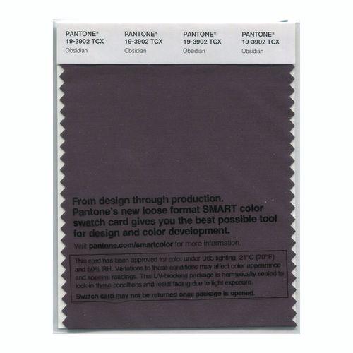 Pantone Smart 19-3902 TCX Color Swatch Card | Obsidian
