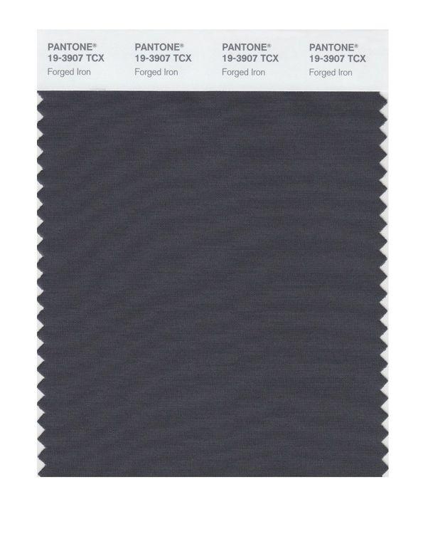 Pantone Smart 19-3907 TCX Color Swatch Card | Forged Iron