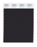 Pantone Smart 19-3909 TCX Color Swatch Card | Black Bean