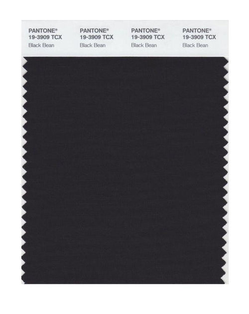 Pantone Smart 19-3909 TCX Color Swatch Card | Black Bean