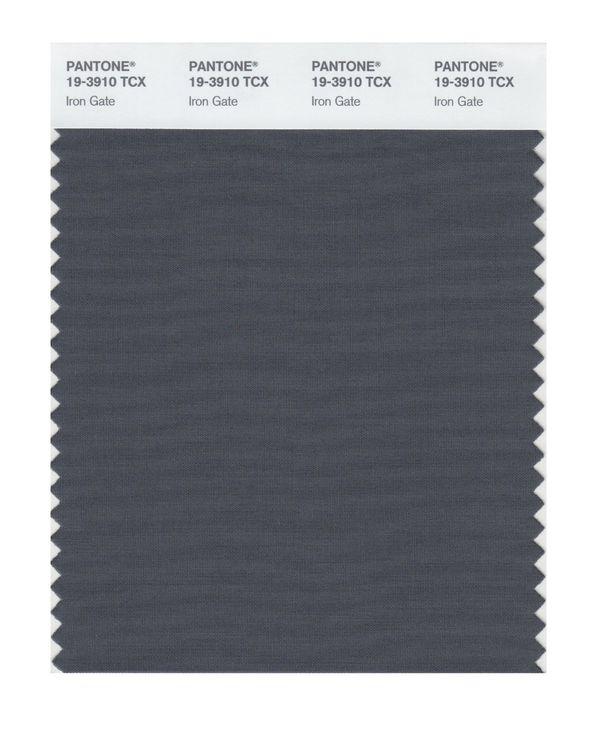 まりんご Pantone Smart 19-3910 TCX Color Swatch Card | Iron Gate | Magazine
