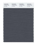 Pantone Smart 19-3910 TCX Color Swatch Card | Iron Gate