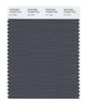 Pantone Smart 19-3910 TCX Color Swatch Card | Iron Gate