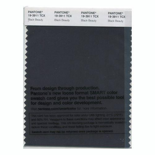 Pantone Smart 19-3911 TCX Color Swatch Card | Black Beauty