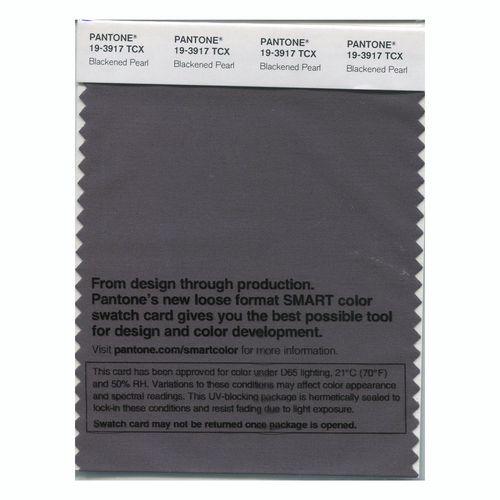 Pantone Smart 19-3917 TCX Color Swatch Card | Blackened Pearl