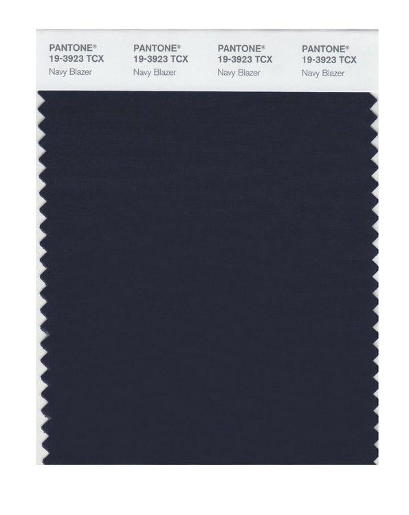 Pantone Smart 19-3923 TCX Color Swatch Card | Navy Blazer